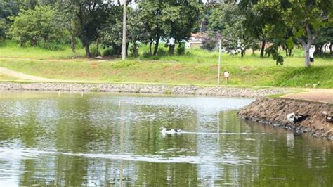 aparecida de goiânia onde fica